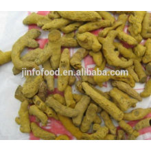 Chinese dried turmeric finger